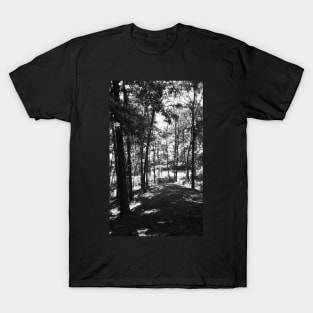 Trail T-Shirt